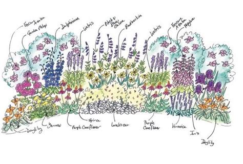 Mixed Border Garden Cottage Garden Borders Flower Garden Plans