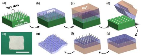 Nml 研究文章 漂浮型zno光催化剂：高效处理石油污水 Nano Micro Letters