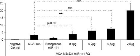 Mir Expression Profiling After Transfection Of Mir Containing