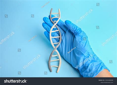 Plasticine Chromosome Images Stock Photos Vectors Shutterstock