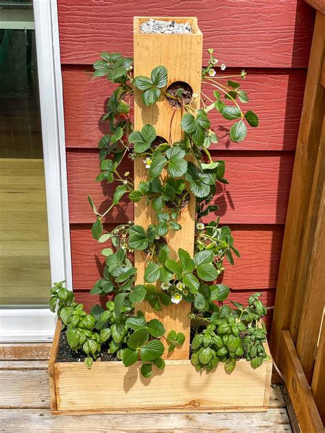 Diy Strawberry Planter [with Plans ] The Handyman S Daughter