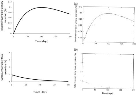 Daily Urinary A And Faecal B Excretion Of Total Mercury In