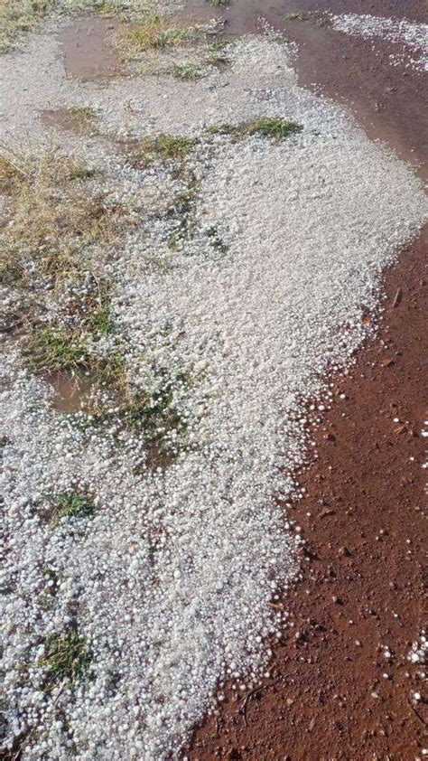 Dañó Granizo 4 Mil Hectáreas Agrícolas Calcula Desarrollo Rural La