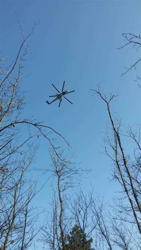 Vasto Incendio Di Un Bosco A Molare