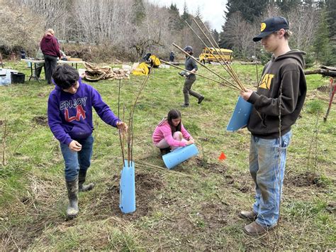 Clallam Bay Students Wrap Up Restoration Projects At The Pysht River