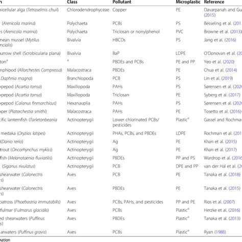 Carbon Originates From Primary Producers Either From Root Exudates Of