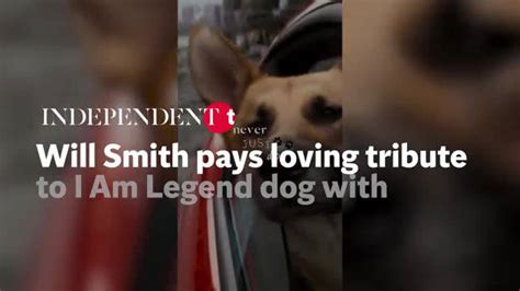 Will Smith pays loving tribute to I Am Legend dog with poignant video montage