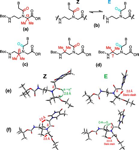 Gemdimethyl Peptide Nucleic Acids Gdm Pna E Z Rotamers