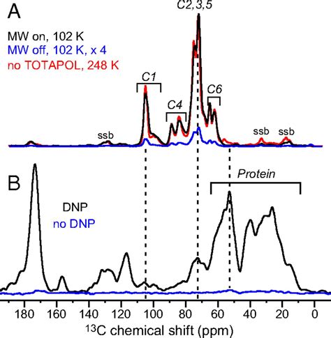 Sensitivity Enhanced Solid State Nmr Detection Of Expansins Target In