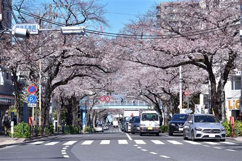 「中野区」で一人暮らしにオススメの街5選！住み心地、家賃相場まで詳しく解説。 マンスリー48