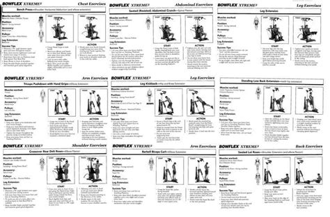 Bowflex Exercise Chart | amulette