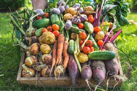 Community Supported Agriculture Csa Idaho Preferred