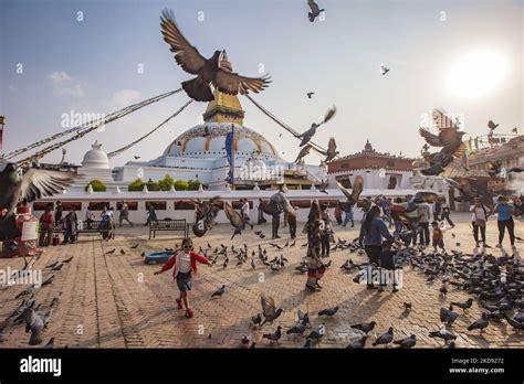 Tourist And Locals Feed And Take Pictures With The Pigeons In The