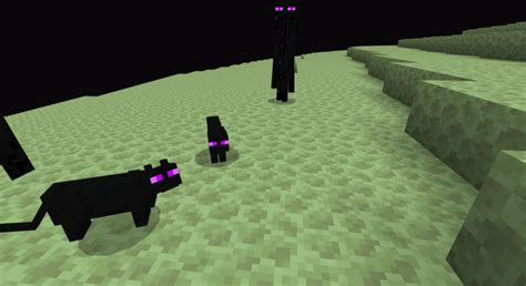 Cats Add On Minecraft Pe Mods And Addons