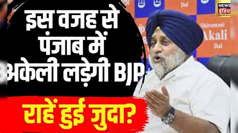 Loksabha Election 2024punjab में Bjp अकेले लड़ेगी चुनाव अकाली दल से