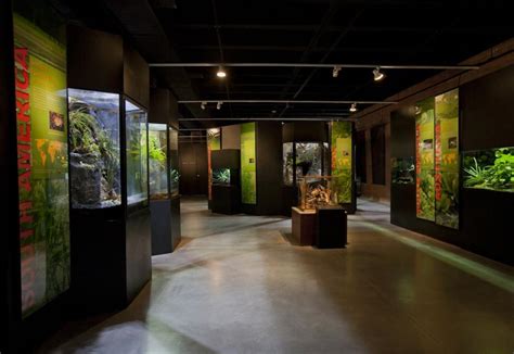 Houston Museum Of Natural Science At Sugar Land Attractions Visit