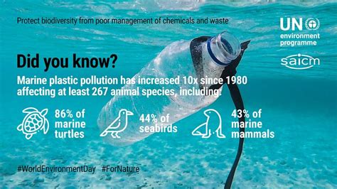 Plastics And Biodiversity Plastics And The Environment Series