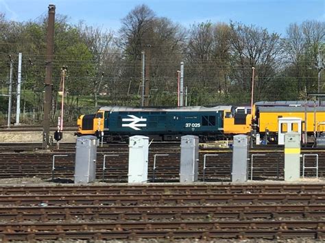 Class 37 N Gauge