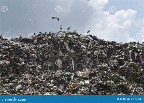 Pollution Concept. Garbage Pile in Trash Dump Stock Image - Image of ...