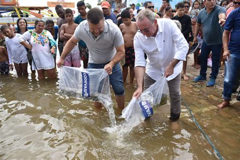 Codevasf Insere Mil Alevinos No Rio S O Francisco Ajn