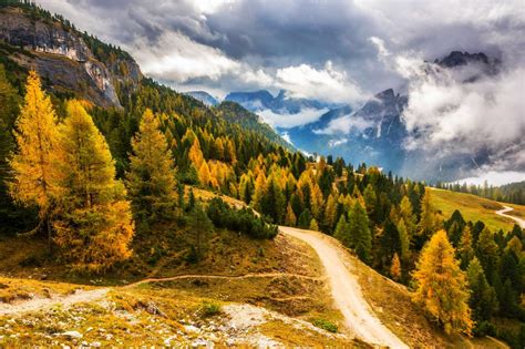 Sfondi Luce Del Sole Paesaggio Foresta Autunno Montagne Italia