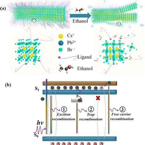 A Schematic Diagram Illustrating The Structure Of Cspbbr3 Ncs Before Download Scientific