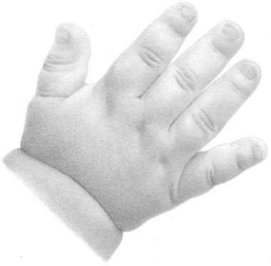 How To Draw A Baby Hand With Pencil Rapidfireart