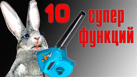 10 причин купить воздуходувку! - YouTube