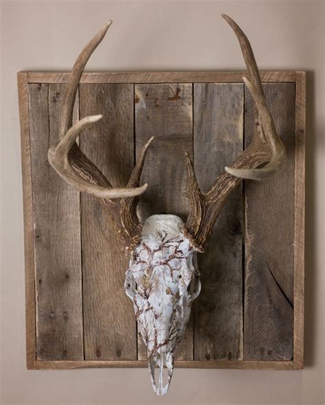 Weathered Wood Skull European Mount Plaque Etsy Deer Skull Decor