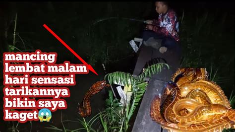 Sensasi Mancing Ikan Lembat Malam Hari YouTube