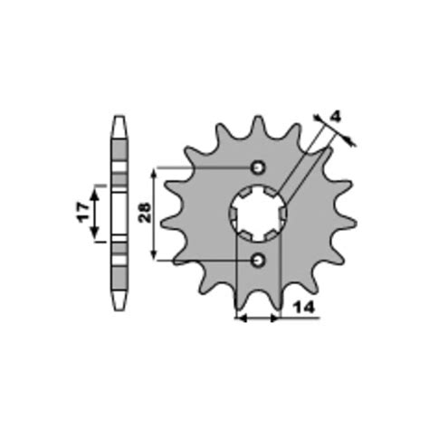 Pignon Pbr Acier Standard Pignon