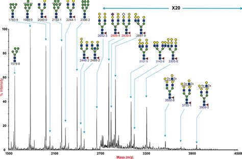 Nglycan Profile Of Swine Trachea Malditof Mass Spectra Of