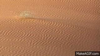 Wind blowing over Sahara desert on Make a GIF