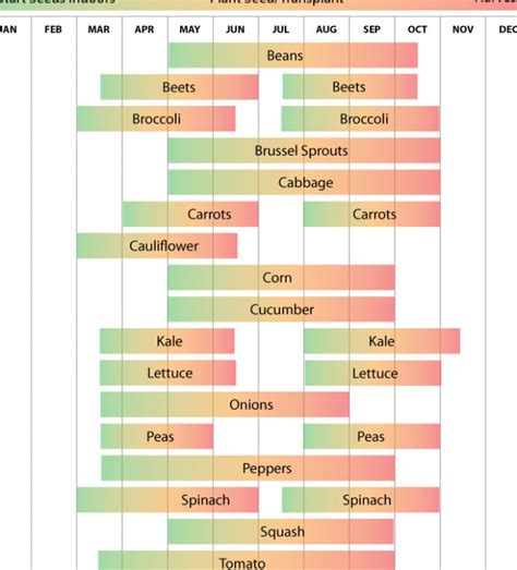 Planting Calendar Zone 7