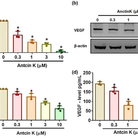 Levels Of Vegf Expression In Human Synovial Tissue A Levels Of Vegf