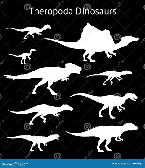 Silhouettes Of Theropoda Dinosaurs Set Side View Stock Vector