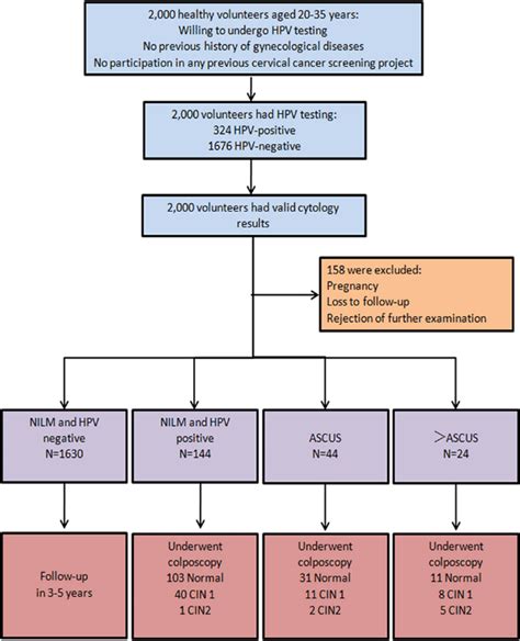 Flowchart Of The Study Protocol Download Scientific Diagram