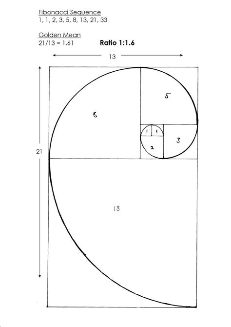 Fibonacci spiral explained - Wasedu