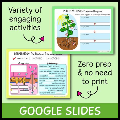 Photosynthesis And Respiration Big Unit Bundle Emmatheteachie