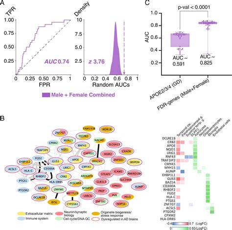 Machine Learning Program Reveals Genes Responsible For Sex Specific Differences In Alzheimer S