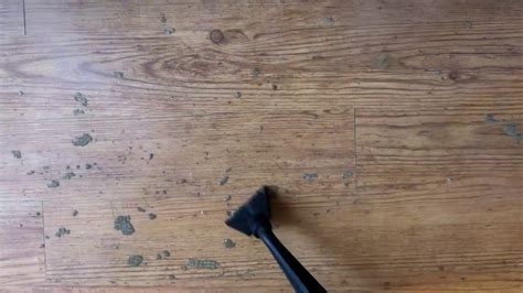 How To Clean Glue Residue Off Hardwood Floors Floor Roma