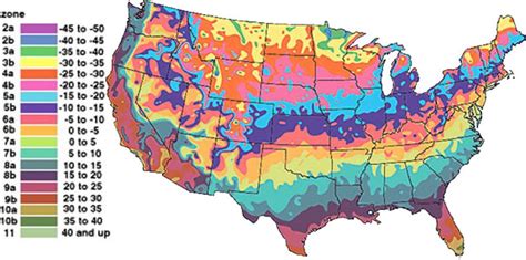 Hardiness Zones Are Explained An D Displayed Several Charts For Comparison Grow Great Vegetables