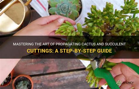 Mastering The Art Of Propagating Cactus And Succulent Cuttings A Step