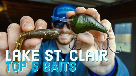 Top 5 Spring Baits For Lake St Clair Smallmouth Bass Fishing Bass