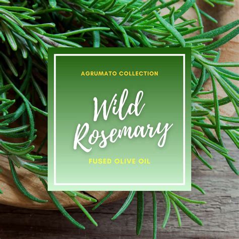 Wild Rosemary Whole Herb Fused Olive Oil Venice Olive Oil