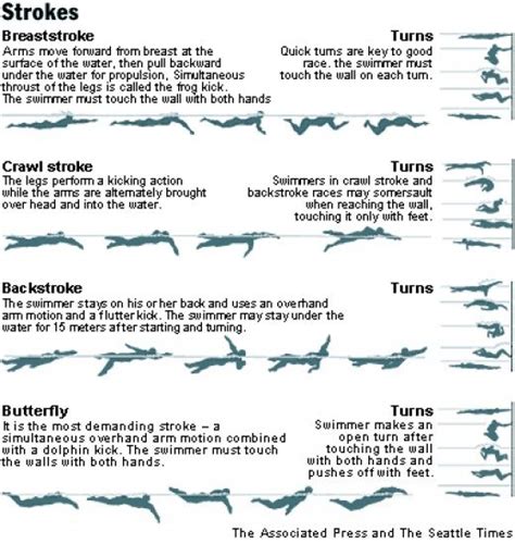 A Closer Look At Different Swimming Strokes Different Swimming