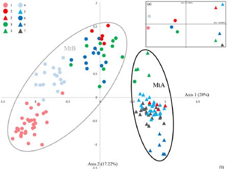 A Principal Component Analysis Pca On Population Allele Frequencies