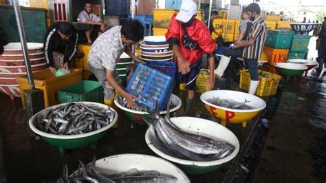 VIDEO Pasokan Ikan Dari Nelayan Di Pasar Muara Angke Berkurang Imbas