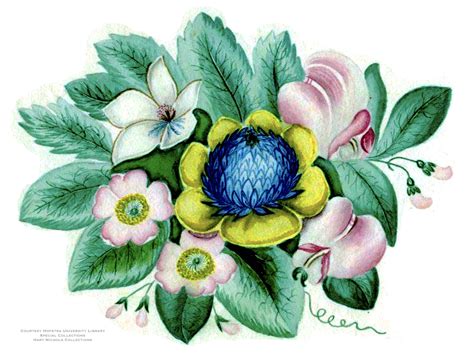 Rediscovering Caroline: Early Life - Dutchess County Historical Society