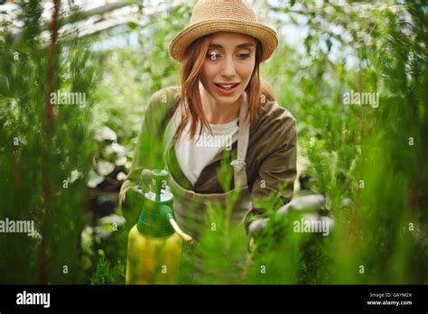 Botanical Hobby Hi Res Stock Photography And Images Alamy